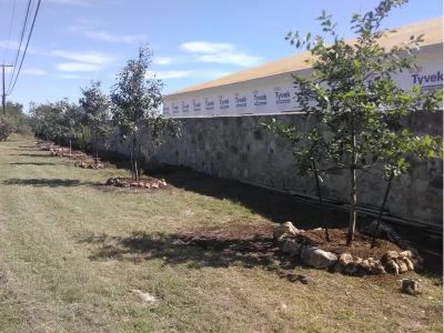 Shavano Park landscaping example