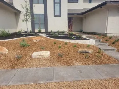 Alamo Heights, TX garden home xeriscape