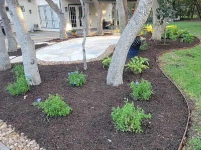 Alamo Heights, TX sitting area with shade plants